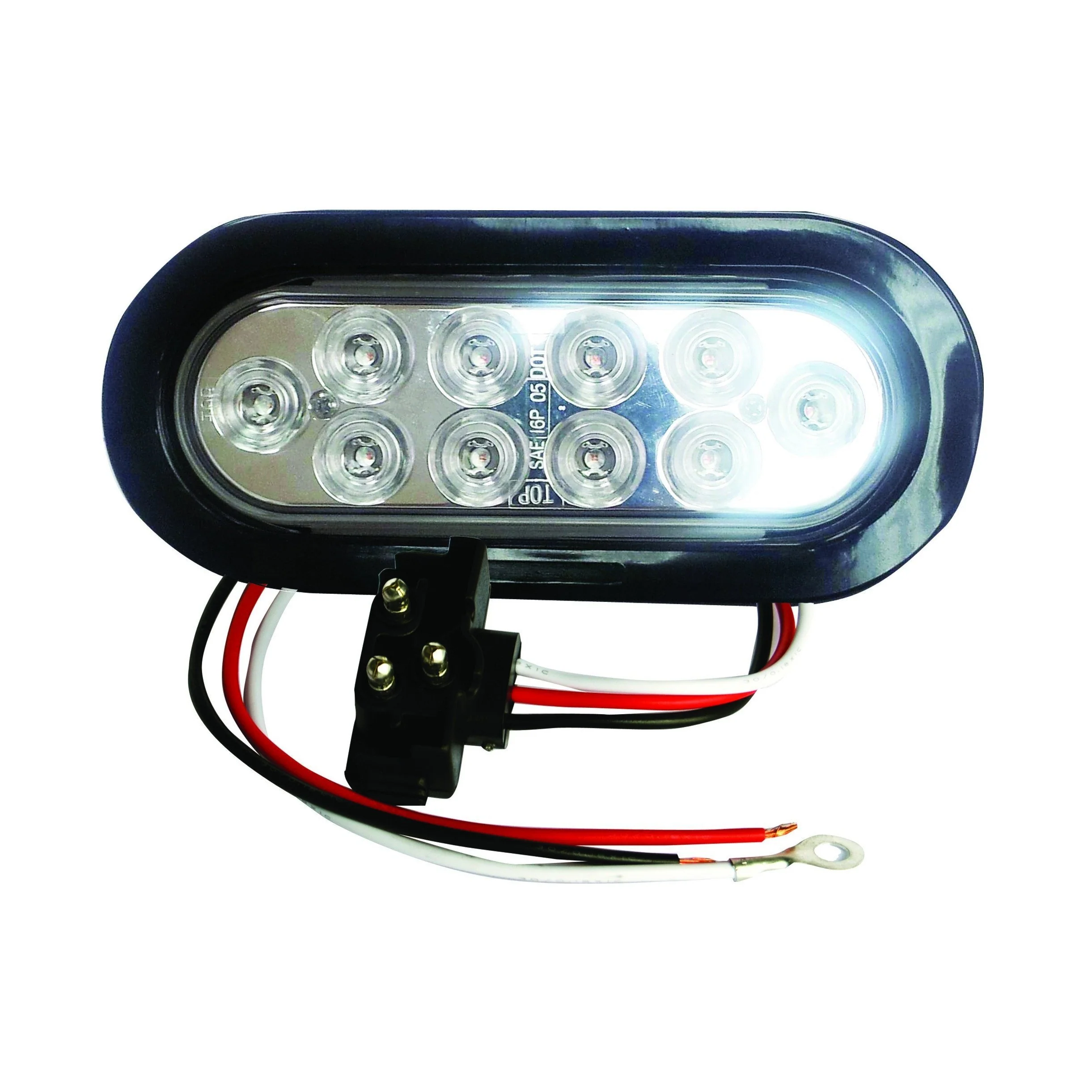 6" Clear Lens Oval White Backup LED Light - 24 Volts - 10 Leds